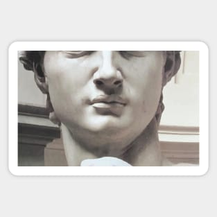 David (Michelangelo) Sticker